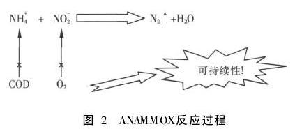 厭氧氨氧化工藝